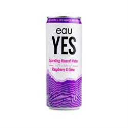 eauYES Sparkling Mineral Water FREE eauYES Raspberry & Lime Sparkling Mineral Water 330ml