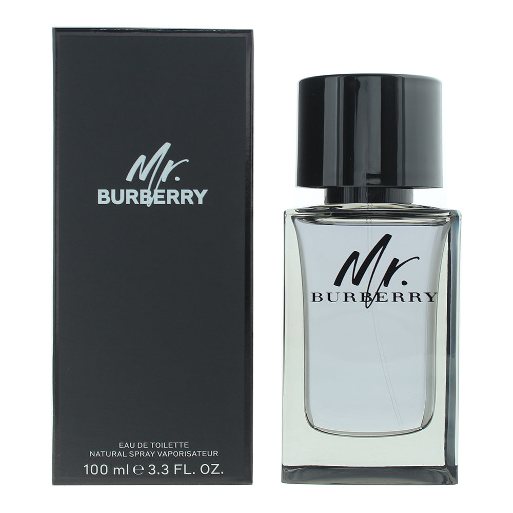 Burberry Mr. Burberry Eau de Toilette 100ml