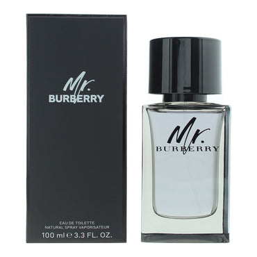 Burberry Mr. Burberry Eau de Toilette 100ml