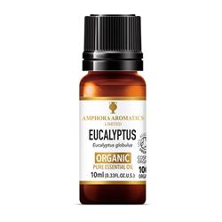 Amphora Aromatics Eucalyptus Organic Essential Oil 10ml