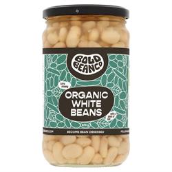 Bold Bean Co Organic White Beans 570g