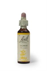 Bach Original Flower Remedies Gorse 20ml