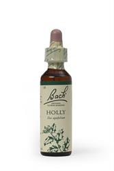 Bach Original Flower Remedies Bach Original Flower Remedies Holly 20ml