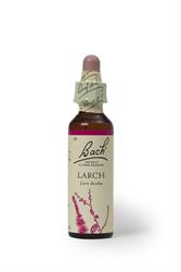 Bach Original Flower Remedies Bach Original Flower Remedies Larch 20ml