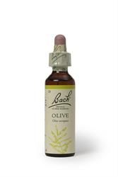 Bach Original Flower Remedies Bach Original Flower Remedies Olive 20ml