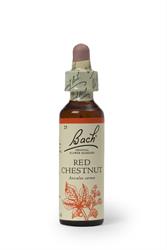 Bach Original Flower Remedies Bach Original Flower Remedies Red Chestnut 20ml