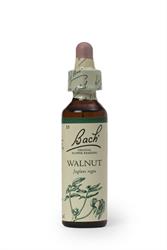 Bach Original Flower Remedies Bach Original Flower Remedies Walnut 20ml