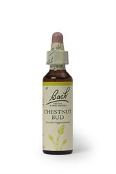 Bach Original Flower Remedies Chestnut Bud 20ml