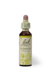 Bach Original Flower Remedies Bach Original Flower Remedies Clematis 20ml