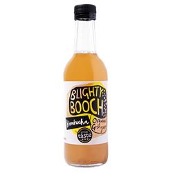 Blighty Booch Kombucha Blighty Booch Organic Ginger Kombucha 330mL