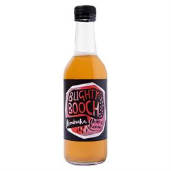 Blighty Booch Kombucha Blighty Booch Nettle & Rosehip Kombucha 330mL