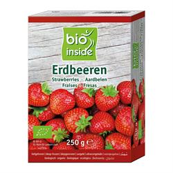 Bio Inside Organic Strawberries 250g