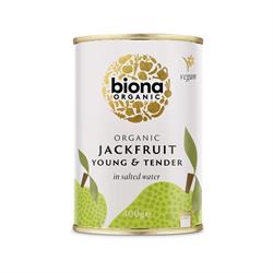 Biona Organic Young Jackfruit in Salted Water 400g