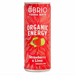 Brio Mate BRIO MATE Organic Energy Drink Strawberry & Lime 250ml