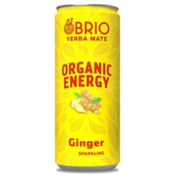 Brio Mate BRIO MATE Organic Energy Drink Ginger 250ml