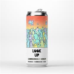 Counter Culture Counter Culture Lemongrass + Ginger Organic Kombucha Soda 330ml