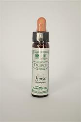 Dr Bach Gorse Bach Flower Remedy