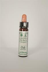 Dr Bach Oak Bach Flower Remedy