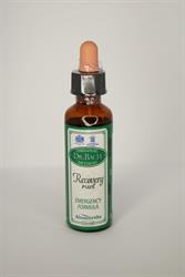 Dr Bach Bach Recovery Remedy Plus