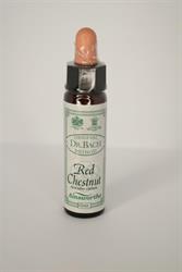 Dr Bach Red Chestnut Bach Flower Remedy