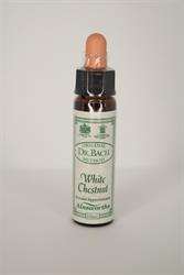 Dr Bach White Chestnut Bach Flower Remedy