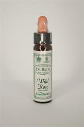 Dr Bach Wild Rose Bach Flower Remedy