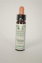 Dr Bach Walnut Bach Flower Remedy