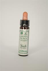 Dr Bach Beech Bach Flower Remedy