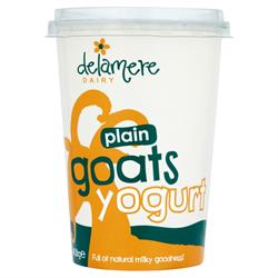 Delamere Dairy Delamere Dairy Plain Goats Yogurt 450g