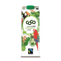 Dr Antonio Martins Organic Coconut Water 1L