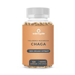 Edens Gate Chaga Mushroom Extract Capsules - Premium Quality - 120 Capsules