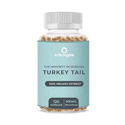 Edens Gate Turkey Tail Mushroom Capsules - Premium Extract - 120 Capsules