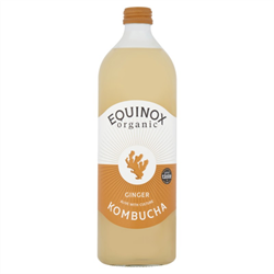 Equinox Kombucha Equinox Organic Ginger Kombucha 750ml