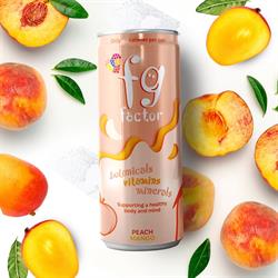 FG Factor FG Factor Peach and Mango Mind and Body Multivitamin Soft Drink