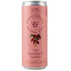 Foreva Farmers FREE FOREVA FARMERS ROSEHIP & LEMON PREBIOTIC SODA 250ML.