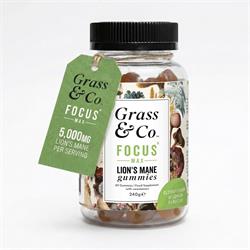 Grass and Co FOCUS MAX Lion's Mane Gummies 5000mg vegan Elderflower and Lemon 60 Gummies