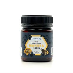 GATHERBY Gather By Australian Manuka Honey 800+MGO 250g