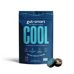gut-smart COOL a chewable tablet - natural heartburn relief 60 pack.