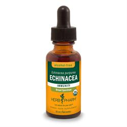 Herb Pharm Herb Pharm Echinacea Alcohol-Free Glycerite 30ml