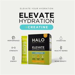 Halo Health and Beauty ELEVATE ELECTROLYTES +CREATINE Lemon & Lime 30 Sachets