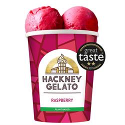 Hackney Gelato Raspberry Sorbetto 460ml