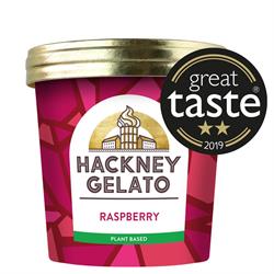 Hackney Gelato Raspberry Sorbetto 100ml