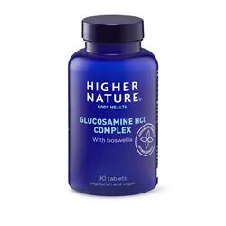 Higher Nature Vegetarian Glucosamine HCL 90 capsules