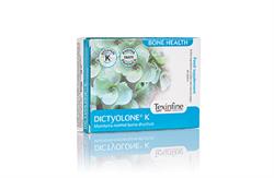 ICP Texinfine Dictyolone K 45x500mg