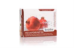 ICP ICP Texinfine Hexaporine 50 45x500mg