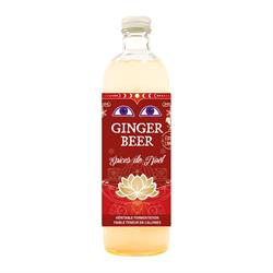 Karma Kombucha Karma Ginger Beer Christmas Spices 750ml