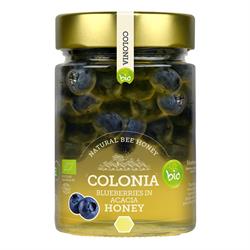 Colonia Colonia Organic Blueberries in Acacia Honey 420g
