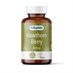 Lifeplan Hawthorn 500mg 60 capsules