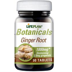 Lifeplan Ginger Root 90 Tablets
