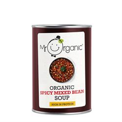 Mr Organic Mr Organic Spicy Mixed Bean Soup 400g